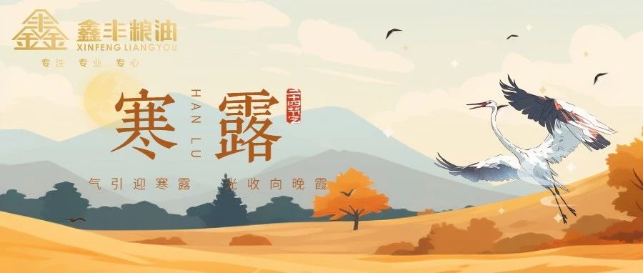 寒露至，温润滋养，以面传情
